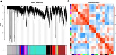 Whitefly Network Analysis Reveals Gene Modules Involved in Host Plant Selection, Development and Evolution